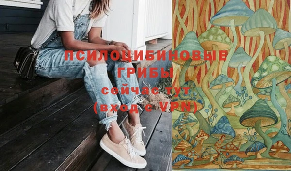 Альфа ПВП Богданович